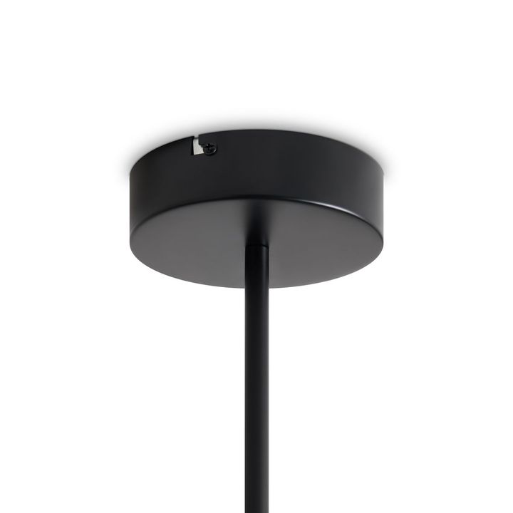 Потолочная светодиодная люстра Freya Arch FR6178CL-L30B