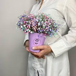 Цветы в коробке с гипсофилой