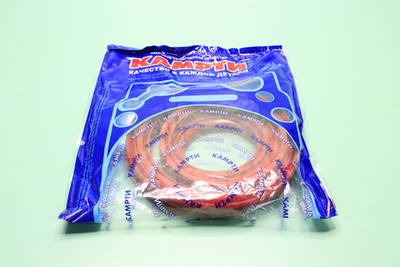 Ремкомплект гидроцилиндра КамАЗ-6520 (8поз./8дет.)