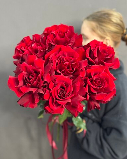 7 французских роз сорта "Эксплорер" под ленту (Эквадор 60 см)