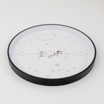 Citilux Купер CL724105G1 LED RGB Светильник с пультом Чёрный