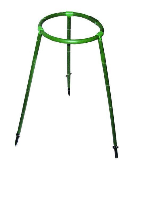 Кустодержатель Пион