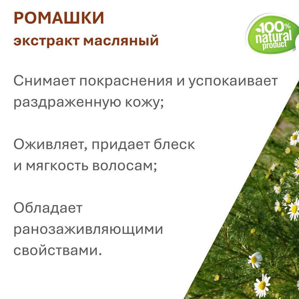 Экстракт ромашки, масляный