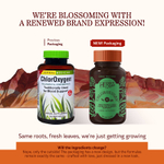 Herbs Etc., ChlorOxygen®, 120 капсул