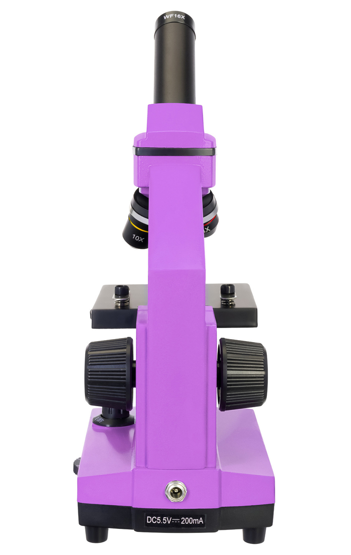 Микроскоп Levenhuk Rainbow 2L Аметист с набором для опытов Levenhuk K50