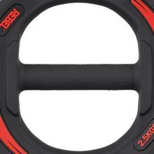 Диски 2,5 кг для памп-штанги для аэробики REBEL R-SMRTP (пара)