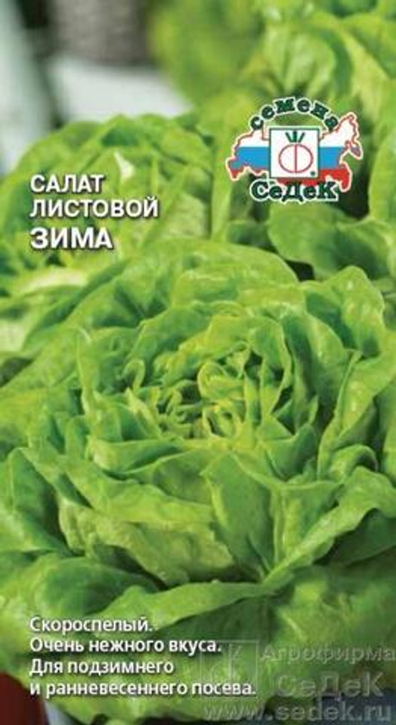 Салат Зима листовой 0,5 г Седек
