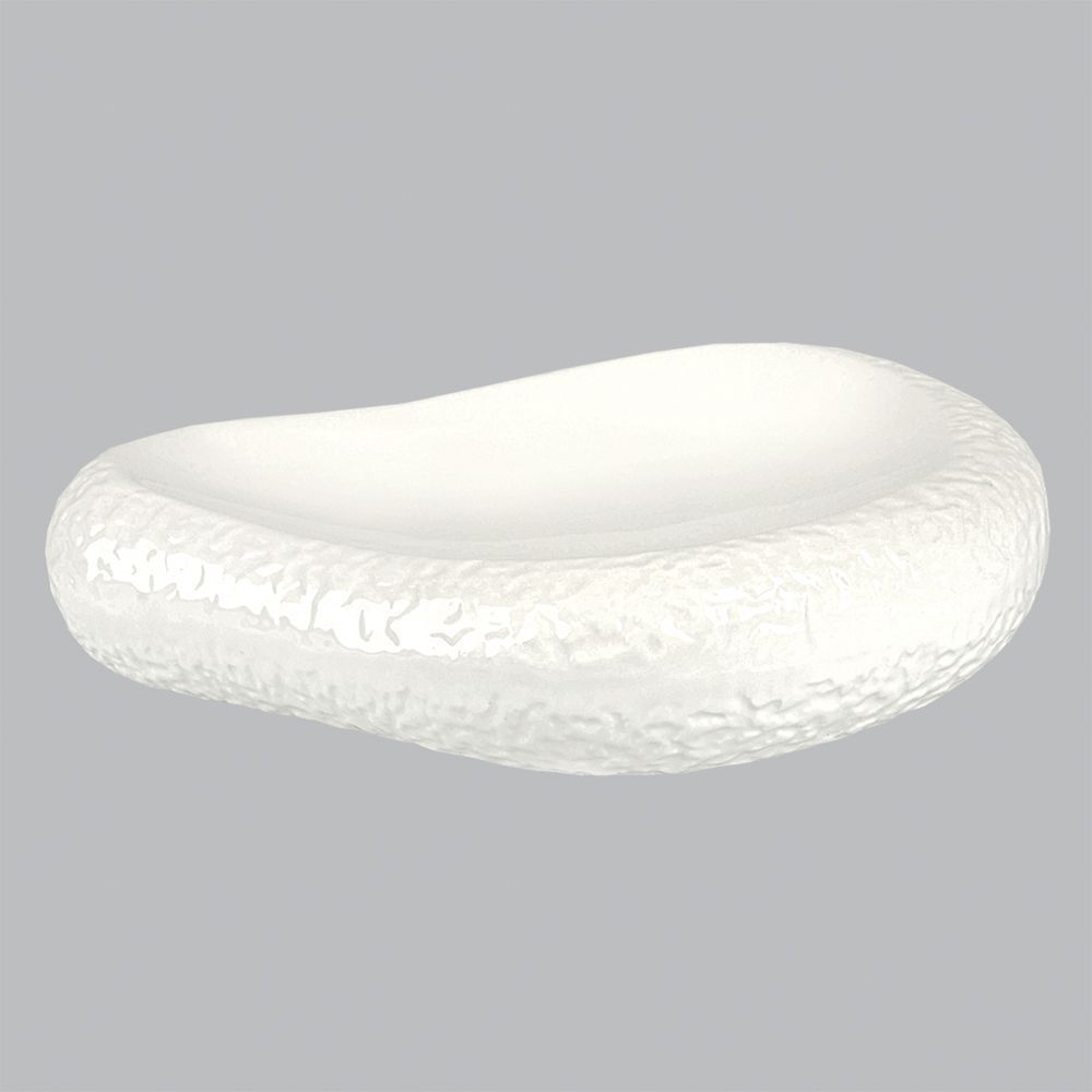 blyudo-organic-26-20-sm-p-l-proff-cuisine-lg