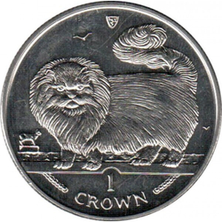 Длинношёрстная дымчатая кошка