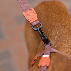 Поводок COCOA NATURALS 120 см Zee.Dog