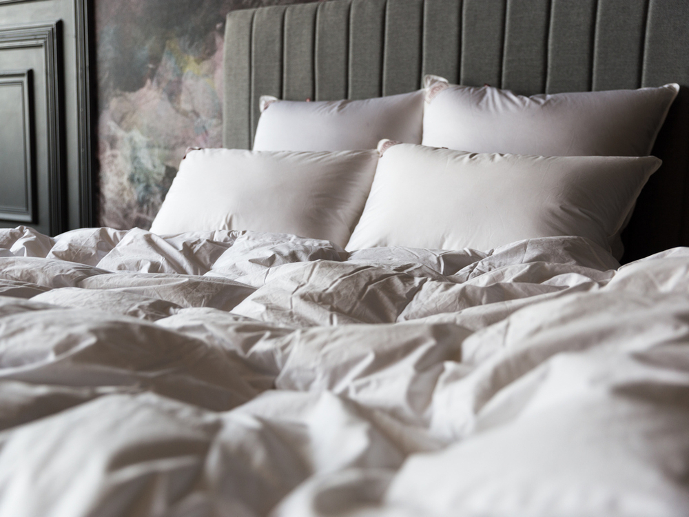 Одеяло теплое пуховое 240x260 German Grass Grand Down