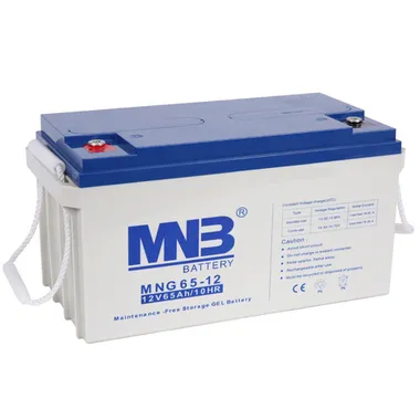 Аккумуляторы MNB MNG 65-12 - фото 1