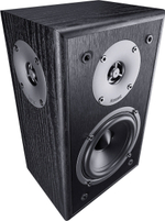 Magnat Monitor S10 D