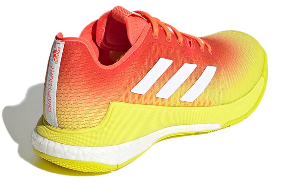 Кроссовки Adidas Crazyflight (Женская размерная сетка)