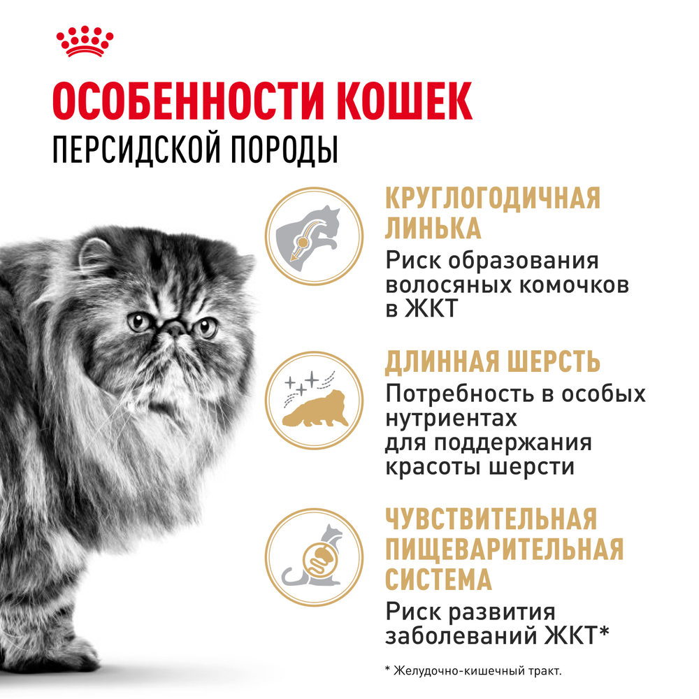 Сухой корм Royal Canin Persian Adult для взрослых персидских кошек от 12 месяцев 10кг