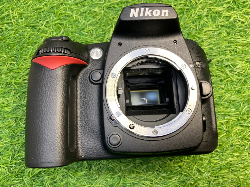 Nikon D90 (1000 кадров)