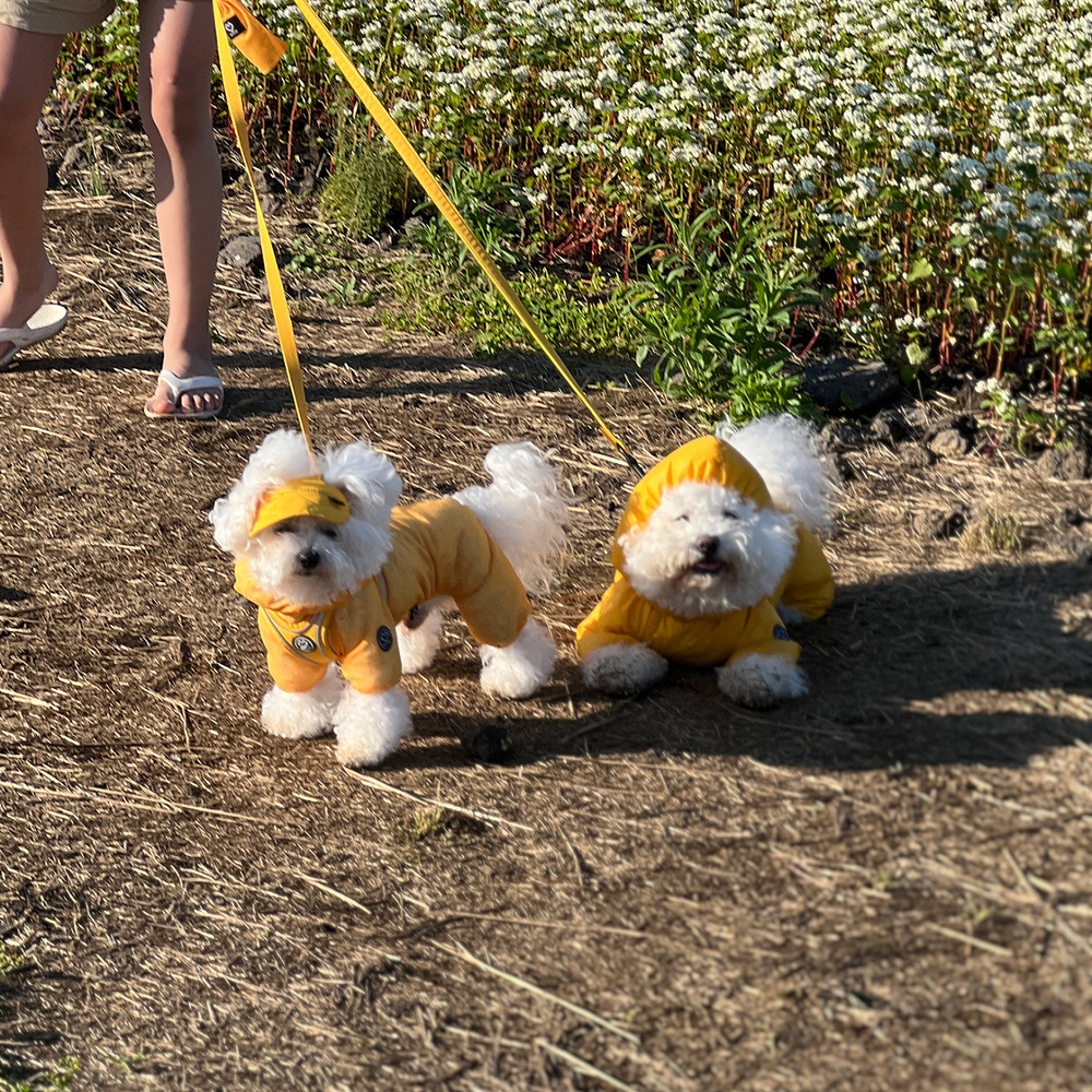 001 Поводок к шлейкам 003/004 SSOOOK