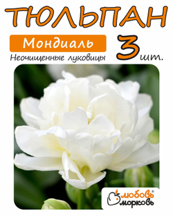 Тюльпан Луковица, Мондиаль, 3+ шт