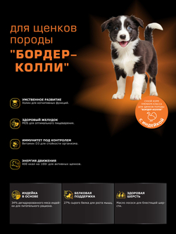 Корм сухой для щенков породы Бордер-колли, с индейкой, 12 кг, QUATTRO