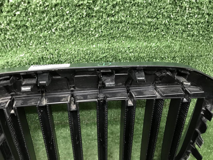 Решетка радиатора BMW X7 G07 (2022-н.в.)