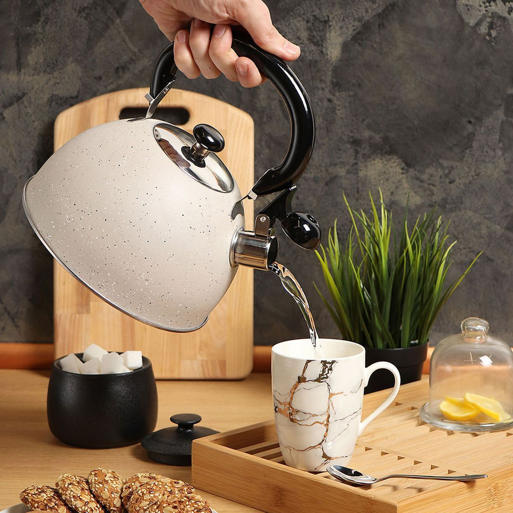 Чайник нерж, 3 л, свист, ручк бакелит, Daniks, беж мрамор, M-009W