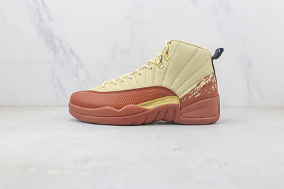 Nike Air Jordan 12