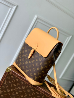 Louis Vuitton Soho MM