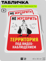 Табличка для частной территории "Не мусорить, территория под видеонаблюдением", на дом, для участка, организаций, предупреждающая, 40х30 см, Silver Plane x Айдентика Технолоджи