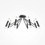 Потолочный светильник Maytoni MOD620CL-16B