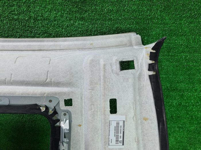 Обшивка потолка BMW X6 G06 (2019-н.в.)