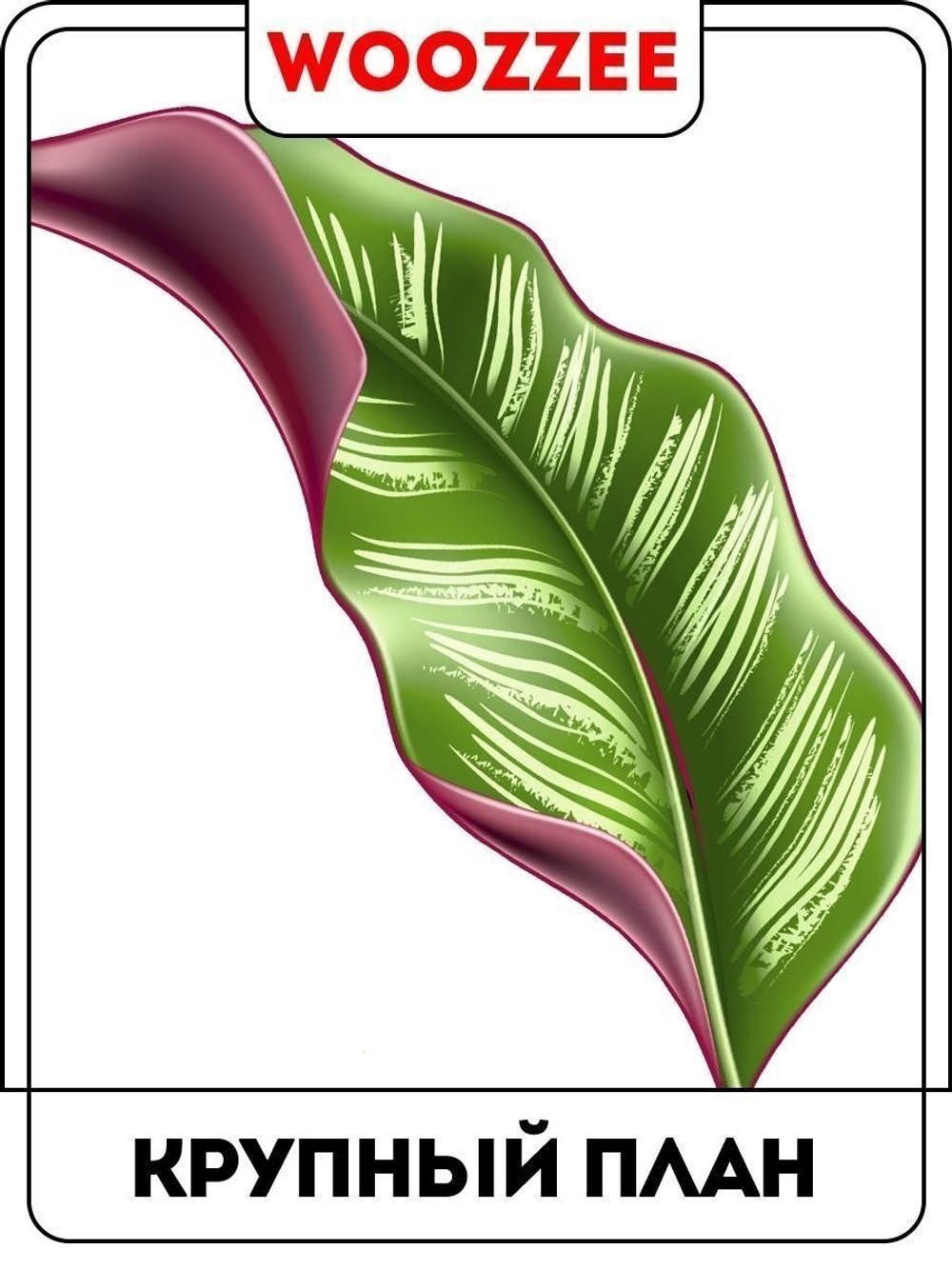 Наклейка декоративная "Зеленые листья"