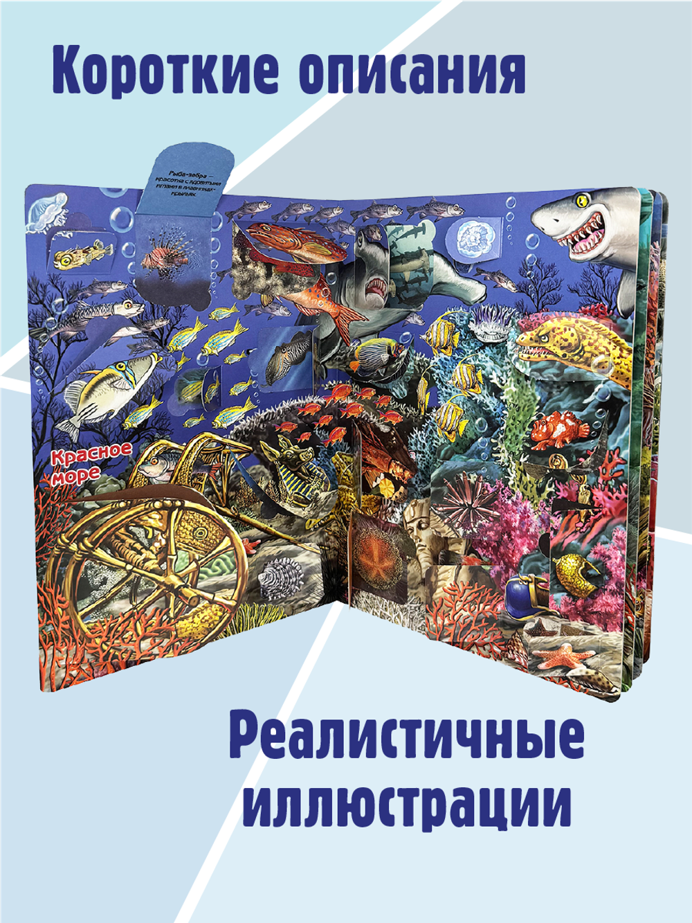 Энциклопедия с окошками (ЦК) ЧТО ТАМ, ПОД ВОДОЙ?
