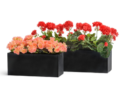 Кашпо TREEZ ERGO - серия Just - Узкий низкий прямоугольник - Антрацит