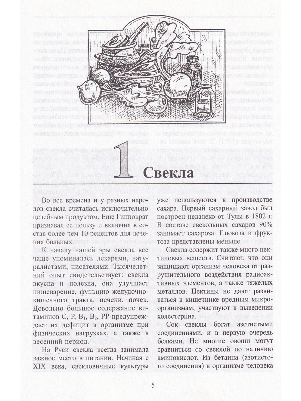 Свекла и морковь.