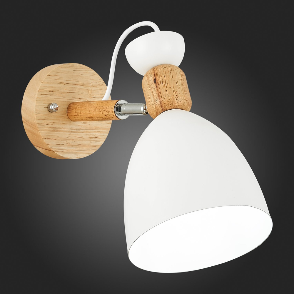 Светильник настенный Evoluce Balcamo SLE103801-01