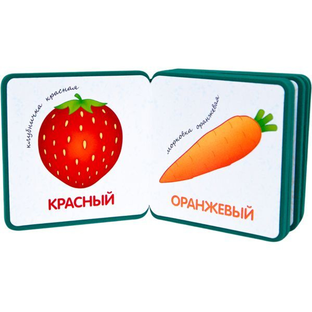 Мой первый словарик.  Цвета (EVA) New