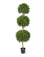 Самшит шар Тройной уличный