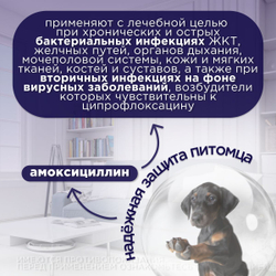 Антибактериальный препарат АВЗ Ципровет для крупных и средних собак, 10 таблеток
