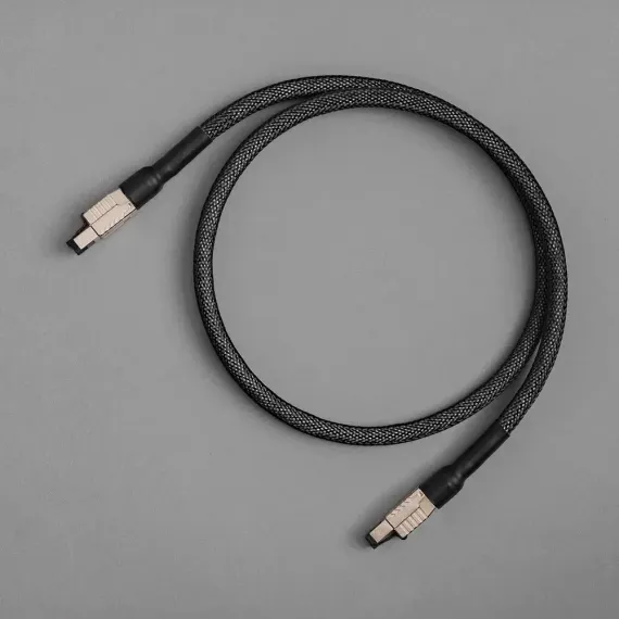 Axxess Ethernet Cable 2m