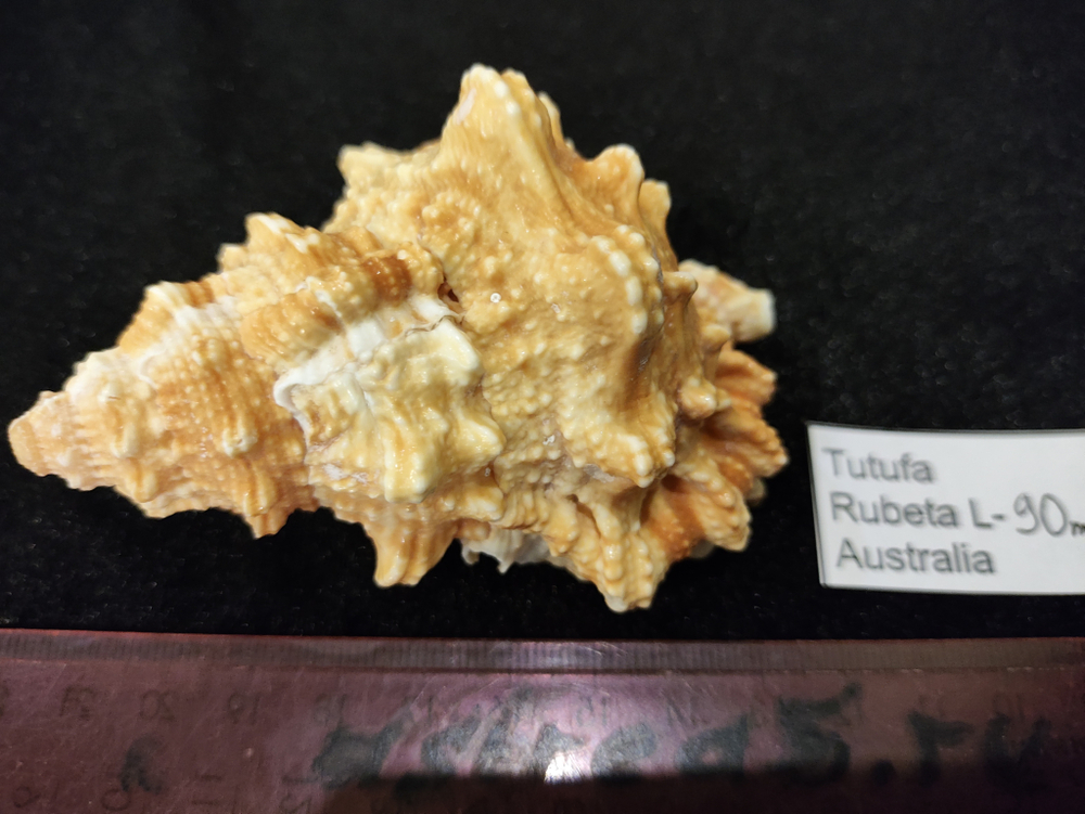 Тутуфа Рубета "90мм-110мм"