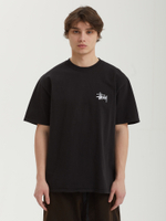 Мужская Футболка Basic Stussy Pig. Dyed