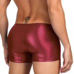 Кожаные трусы мужские на молнии Ohyeah "Хипсы" бордовые, S