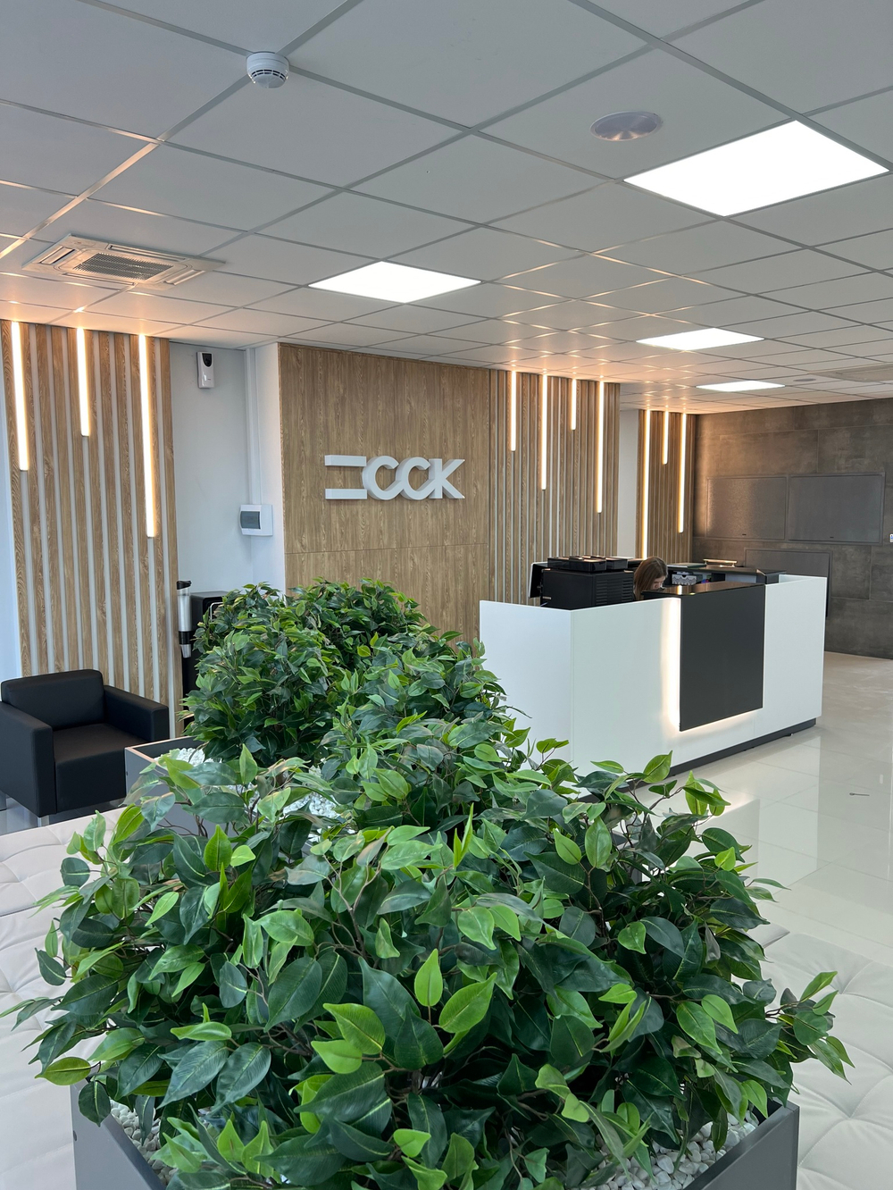 Озеленение искусственными растениями офиса строительной компании "ССК" г.Краснодар