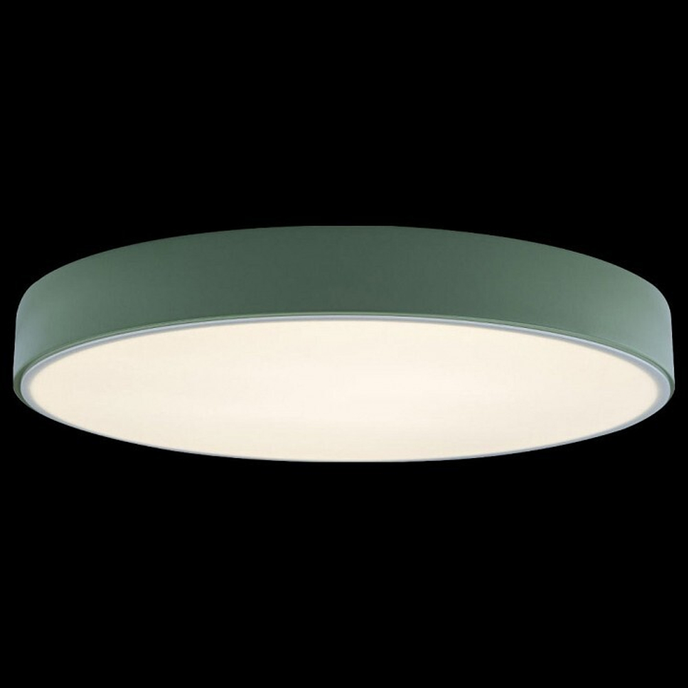 Накладной светильник Loft it Axel 1 10002/24 Green
