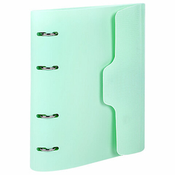 Тетрадь на кольцах А5 175х220мм, 120л, пластик, на липучке с разделителями, BRAUBERG, Мятный,404638