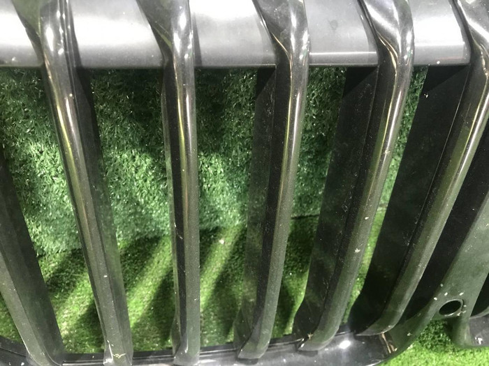 Решетка радиатора BMW X7 G07 (2019-2022)