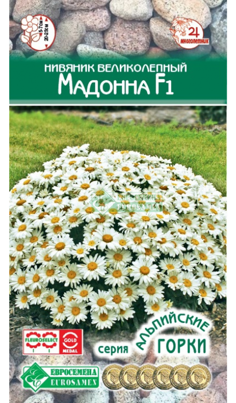 Нивяник великолепный Мадонна F1