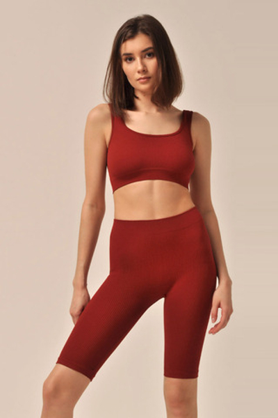 Велосипедки PA829 Sangria MY