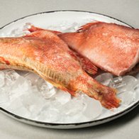 Окунь морской 500/700