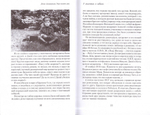 Утро нового дня. Очерки и рассказы. Денис Ахалашвили